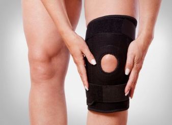 Obat Herbal Cedera Lutut Dari Teripang Emas